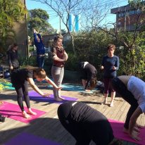Morning yoga for the PACT Collective